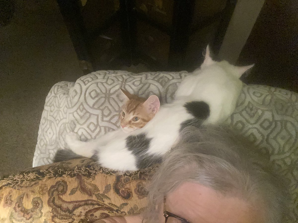 AuntieJaneN's tweet photo. Life with mom https://t.co/nFfSsO65o7
