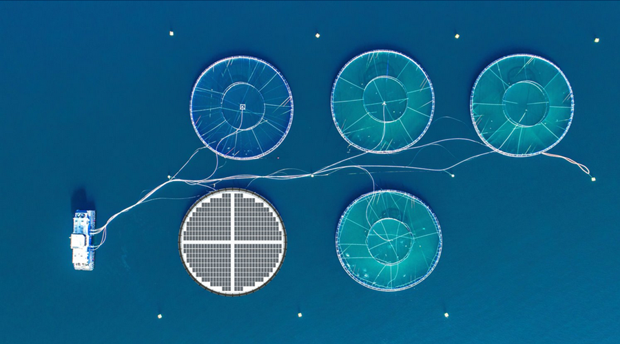 fuelcellsworks's tweet photo. . #NorwegianHydrogen Will Deliver 100% Emission-Free Energy Solutions to the #Aquaculture Industry - Although there are many suppliers of #hydrogen, #VågeKlepp in #Inseanergy has no doubt that they have found the right partner - https://t.co/zTMMrMGCpL #HydrogenNow #HydrogenNews https://t.co/RDAcjeEDnb