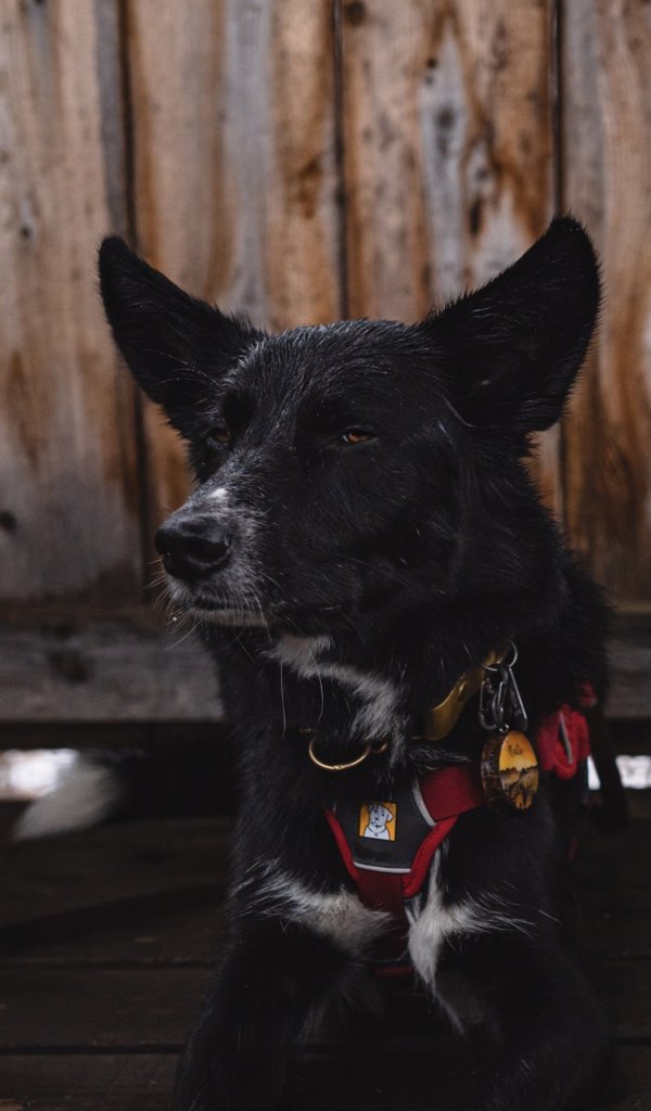 Laura & Nate tweet media