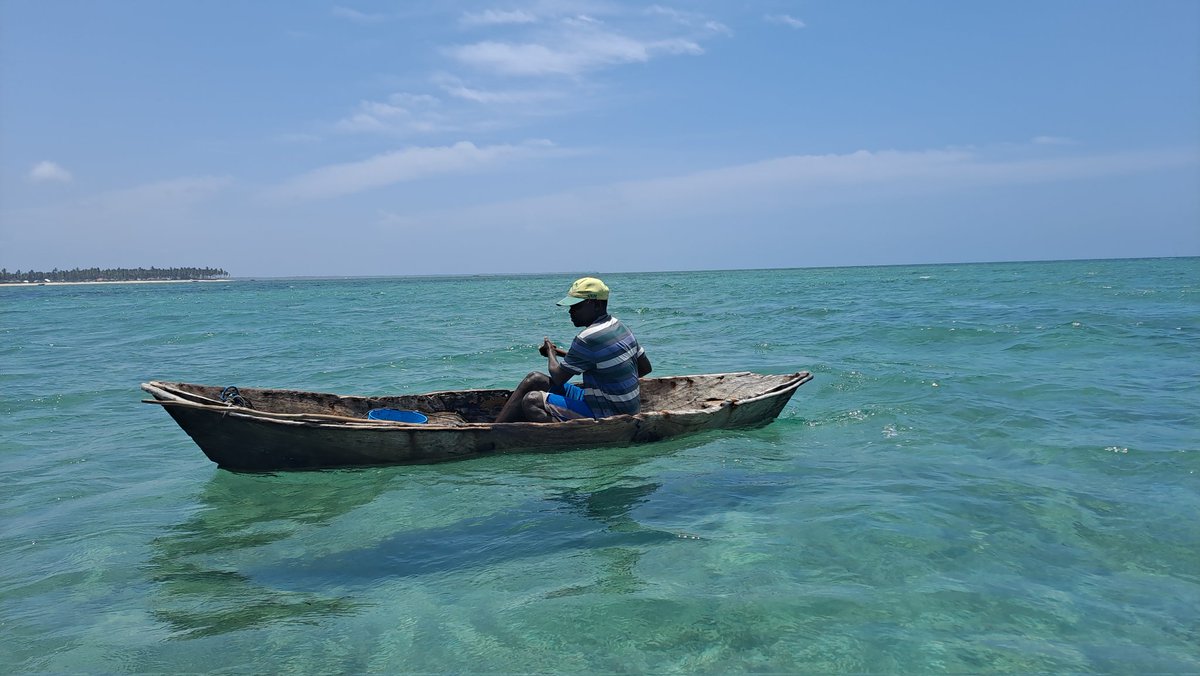 ItsMe_Jabeer's tweet photo. Caption: No matter what dont stop
#ExploringTanzania https://t.co/J6cmRRTlMf