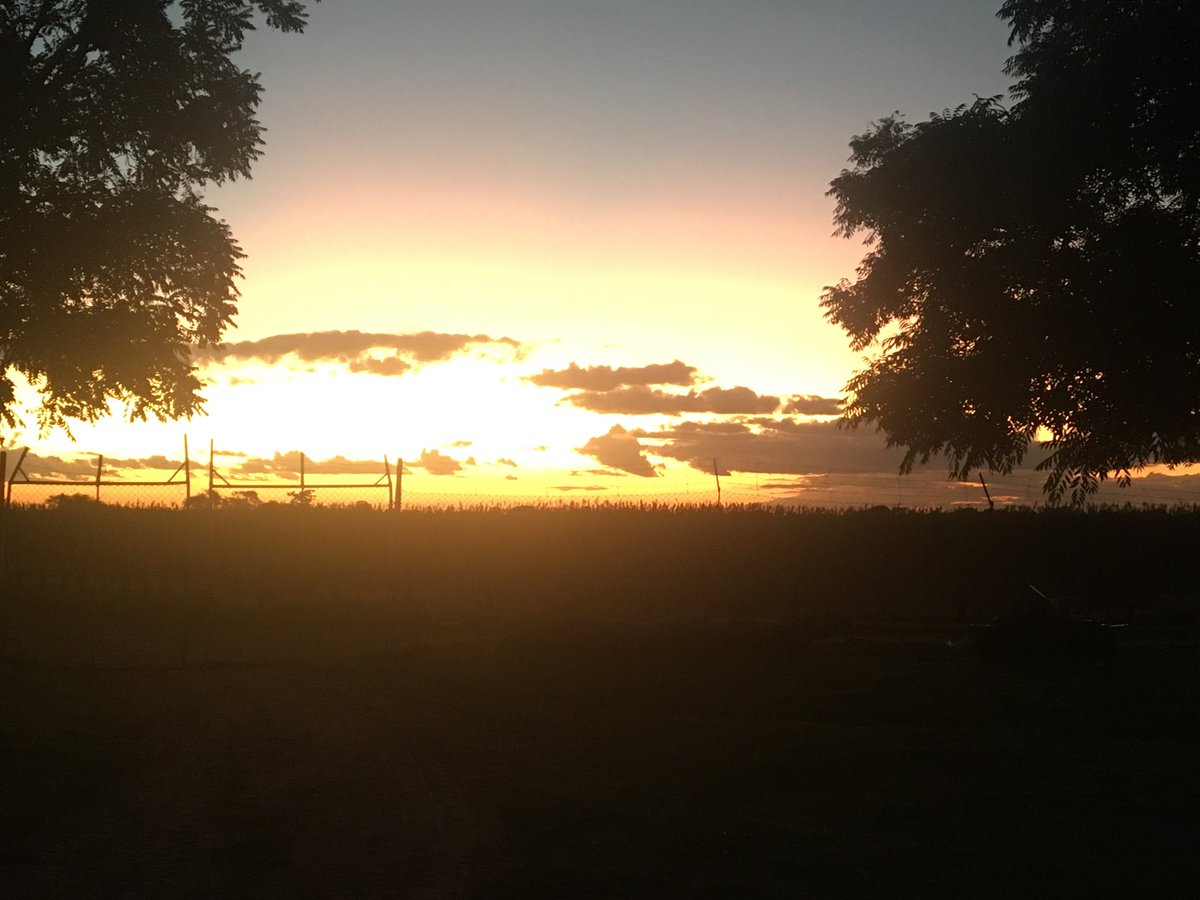 Farmercist🐔🐏🐎🐂🐑🐐💊💊💉💉 tweet media