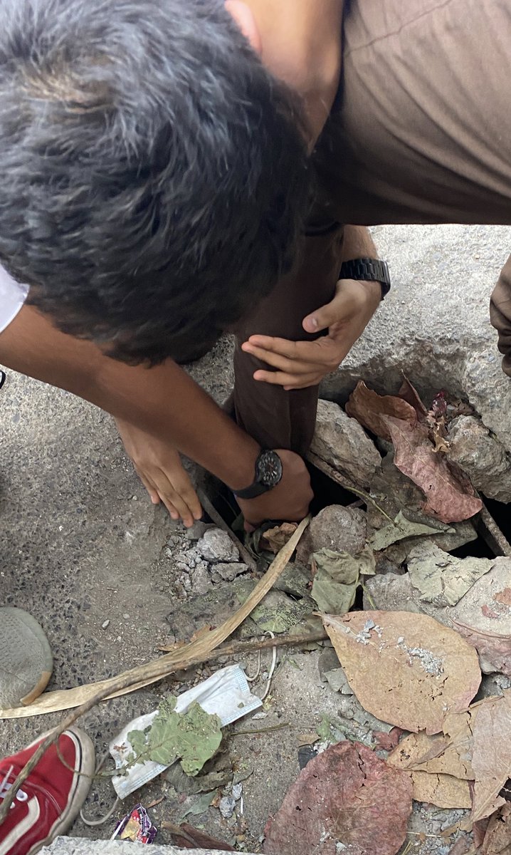 ishanganu's tweet photo. This is to inform that there is a small opening in the road outside Jain Traders Thane opposite Singhania School second gate. One of my friend was accidentally stuck in it this morning but was rescued. Please look into the matter as soon as possible. https://t.co/UEKiTlGrRM