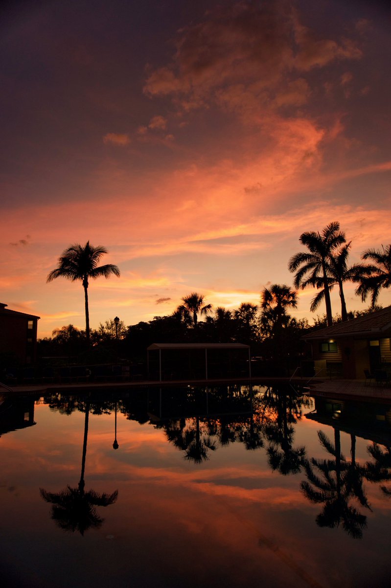 GM 🌅🌴 I’ve never shared my travel photos…I’m thinking it’s time I do. Might make a good collection one day #nftphotography #florida