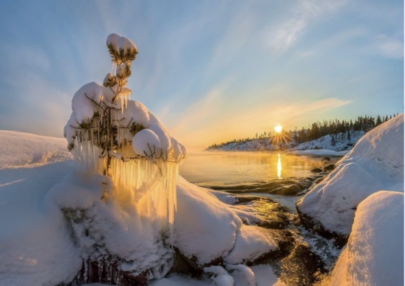 Алина Г. tweet media