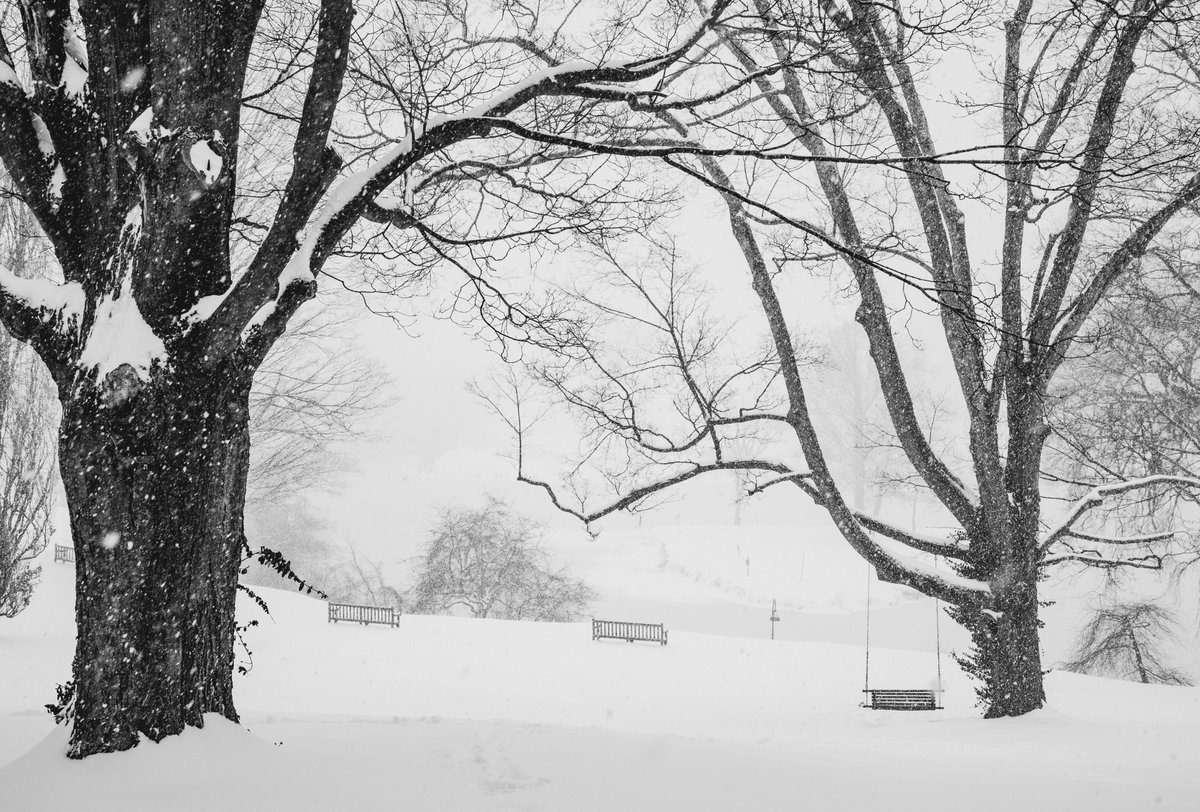 smithcollege's tweet photo. Snowy campus ❄️☃️ https://t.co/xcHjijmccA