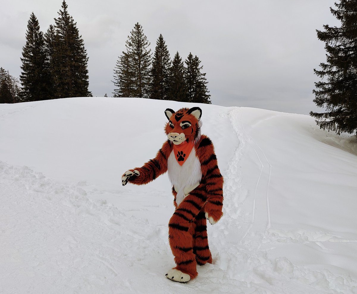 Tiberius is coming up the mountains to wish you all a happy #FursuitFriday

🪡<a href="/AlphaDogsStudio/">Alpha Dogs</a>