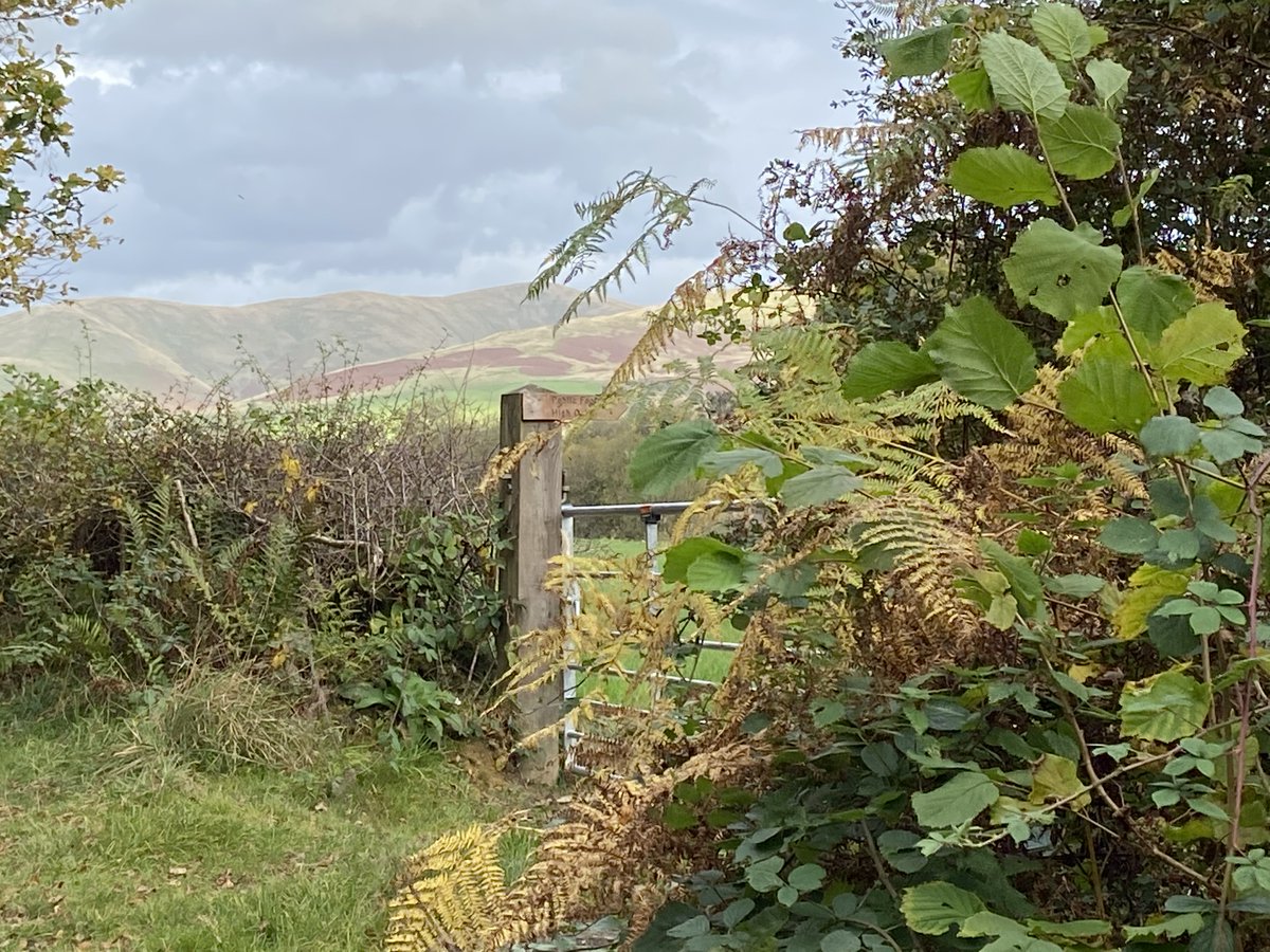 Access The Outdoor Guide tweet media