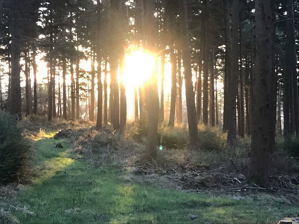 A stunning sunrise in Widworthy Woods this morning and a beautiful day followed. Wishing everyone a good weekend!
.
#woods #woodland #sunrise #nature #selfcatering #selfcateringaccommodation #luxuryselfcatering #staycation