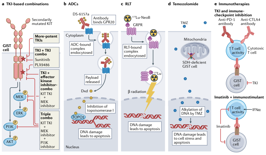 NatRevClinOncol's tweet photo. In a Review now live online, @LRberyllium, @HKhosroyani, Jason D. Kent &amp; Michael Heinrich from the @GistLab at @OHSUKnight discuss 'New treatment strategies for advanced-stage gastrointestinal stromal tumours: https://t.co/pJ0cMuvUMG #scmsm #stcsm #esocsm #CRCSM https://t.co/lMtjkAcJUZ