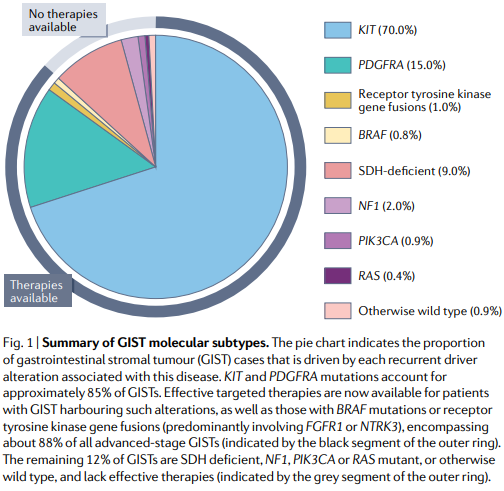 NatRevClinOncol's tweet photo. In a Review now live online, @LRberyllium, @HKhosroyani, Jason D. Kent &amp; Michael Heinrich from the @GistLab at @OHSUKnight discuss 'New treatment strategies for advanced-stage gastrointestinal stromal tumours: https://t.co/pJ0cMuvUMG #scmsm #stcsm #esocsm #CRCSM https://t.co/lMtjkAcJUZ