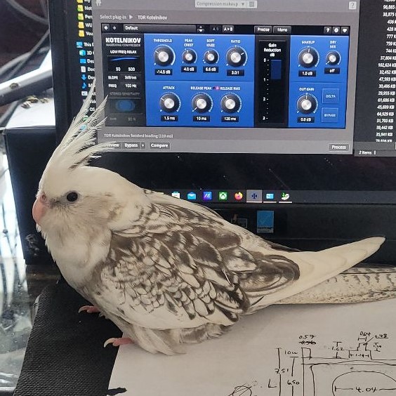 Happy #FeatheredFriday! This week, Pepper decided to settle in on Arturo's laptop while he was doing some audiobook mastering. I guess the keyboard was a nice warm spot to sit? 😂🐦