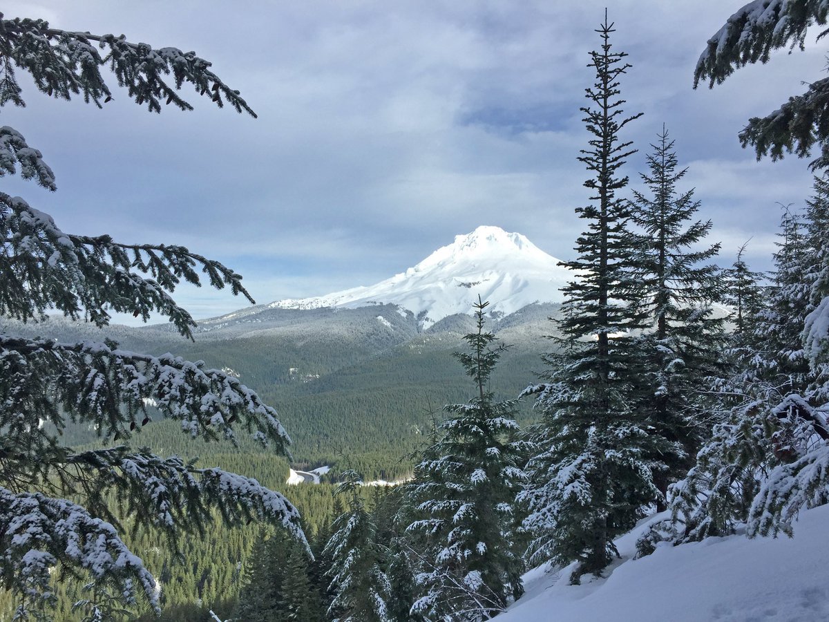 ForestServiceNW's tweet photo. “The question is not what you look at, but what you see.”

—Henry David Thoreau https://t.co/Qkhe6622xB