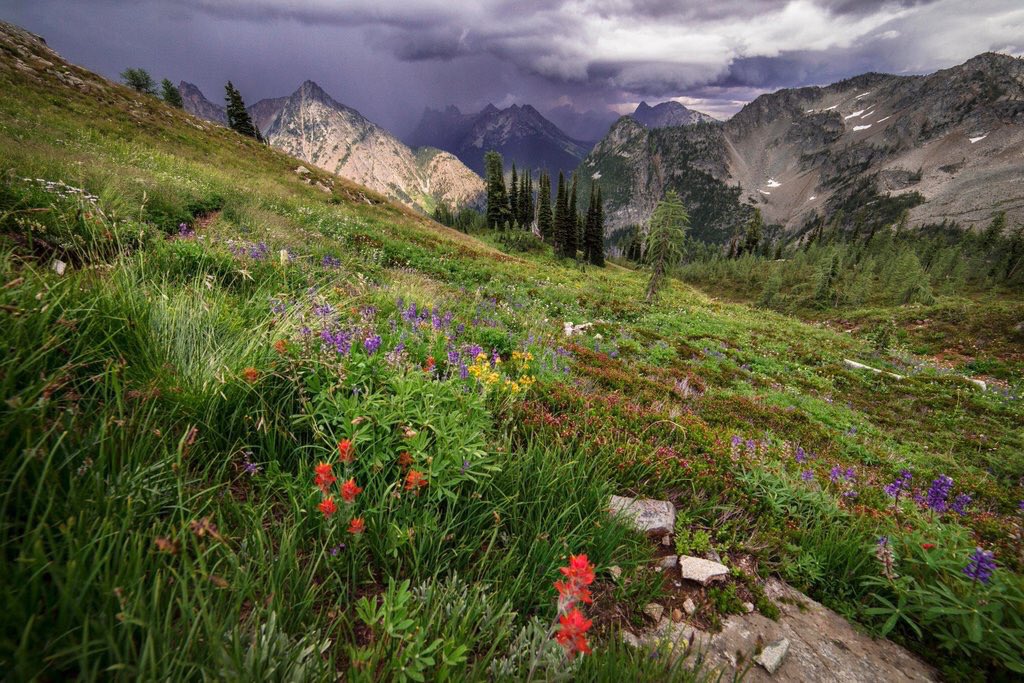 ForestServiceNW's tweet photo. “The question is not what you look at, but what you see.”

—Henry David Thoreau https://t.co/Qkhe6622xB