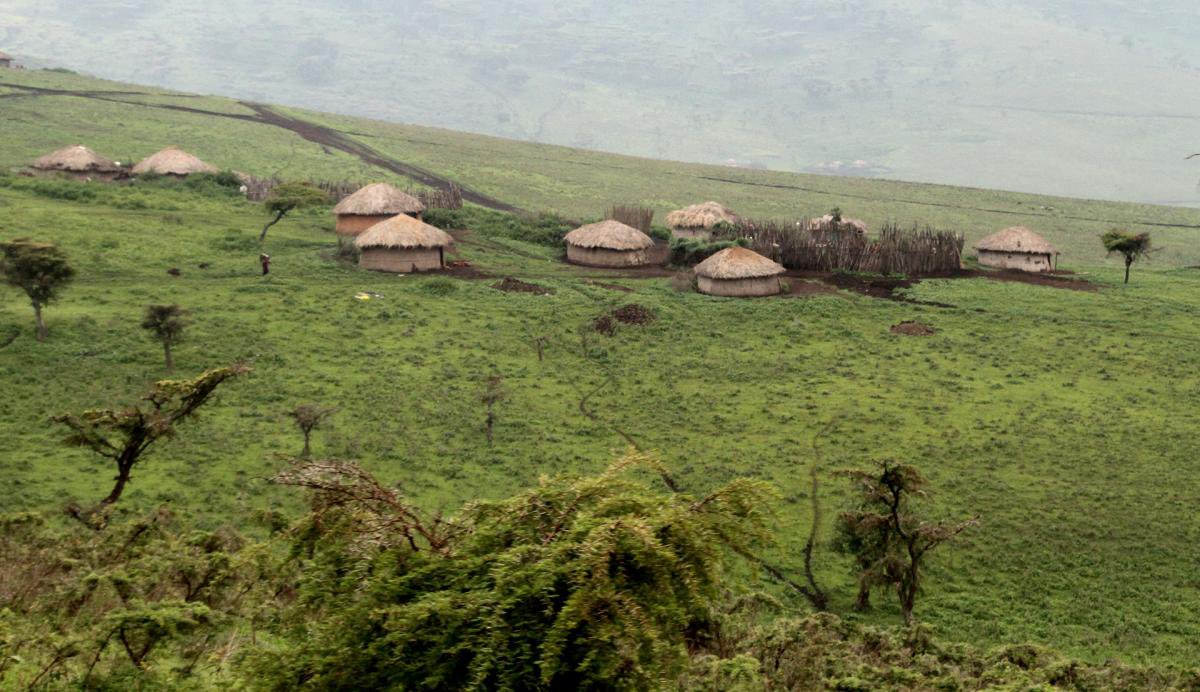 Liberatus80's tweet photo. “Bila kunitaja, Kwa niaba ya wanangorongoro naomba nimlipie mweshimiwa Lissu kwa kuwa amekuwa mzungumaji ya wanangorongoro, na watanzania kwa ujuma. Hivyo basi nitaliapia miaka 8, ambayo ni 960,000. Baadaya wiki tatu kutoka sasa.  Mimi sio CHadema. Michango yangu natuma kwako.” https://t.co/7LAYuoz3Hn