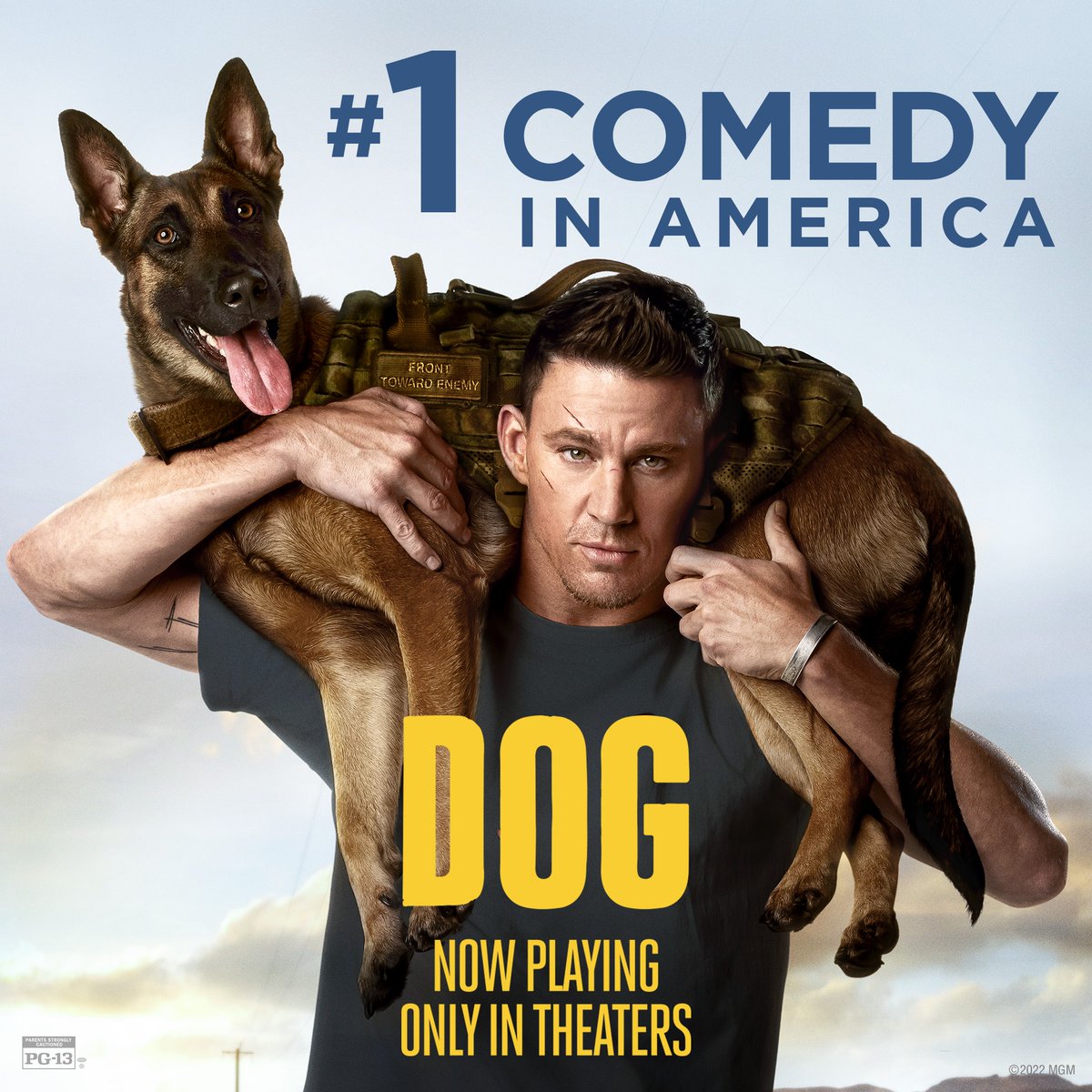 war dogs full movie online free