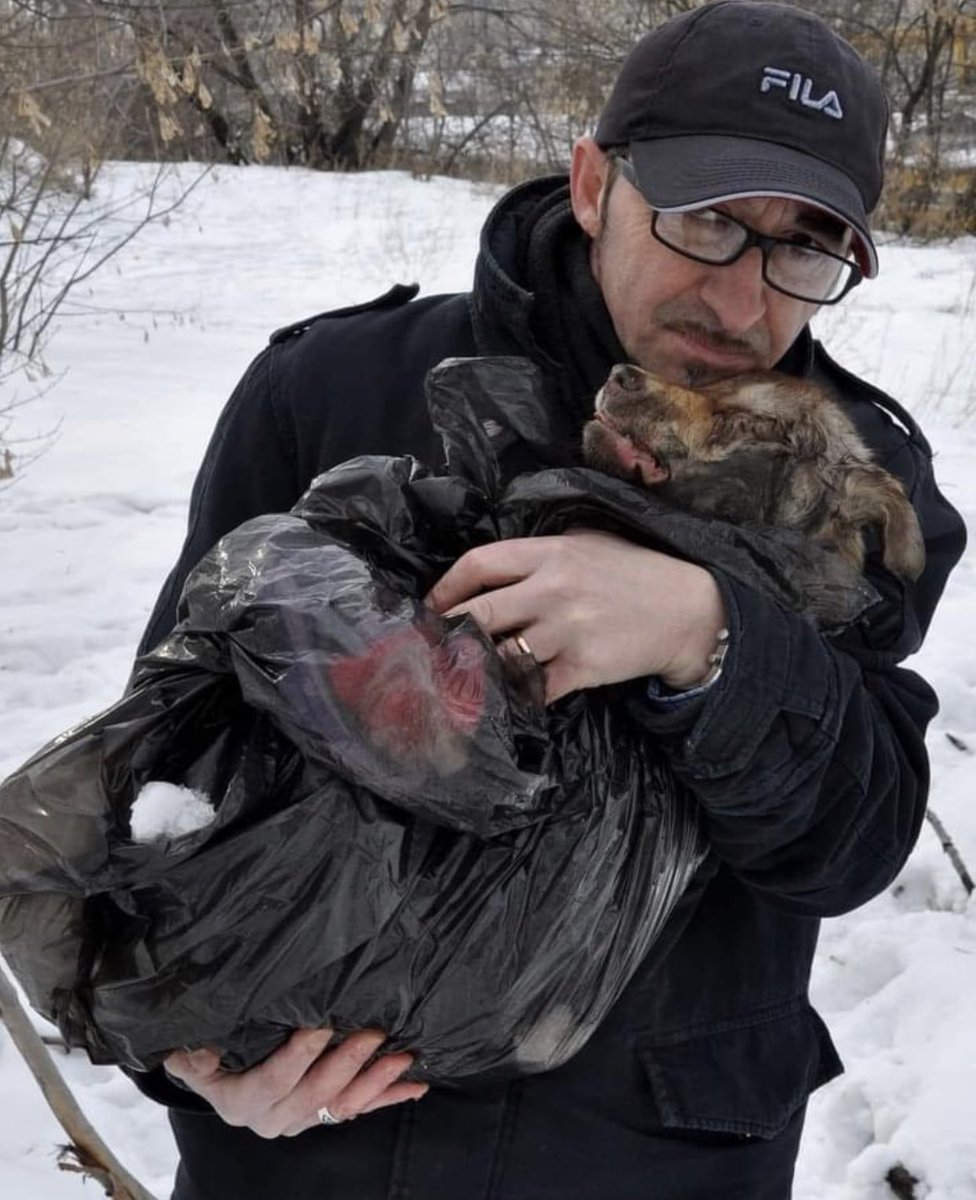 beadifusiones's tweet photo. Andrea Cisternino se queda en Ucrania para proteger a los perros callejeros.
¡Él no abandona su misión ni siquiera en tiempos de guerra!
Todos mis respetos para este gran Hombre 💙
“Si mis animales mueren yo moriré con ellos” ha dicho https://t.co/VXIBgAteDo
