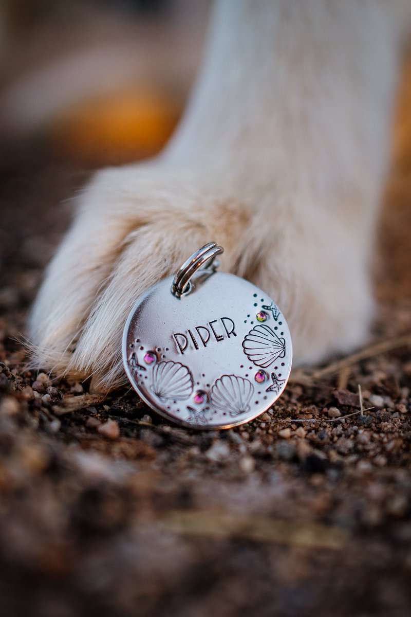 I've been on Twitter for an hour and my feed is already so beautiful!! Just full of so many people just happy to be here! Loving all the positivity 

#DogsofTwittter #dogsofinstagram #twitterdogcommunity #dogtwittercommunity