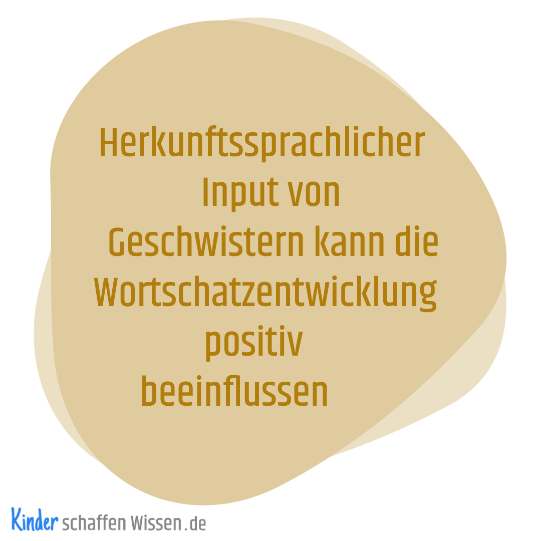 Über 4 Jahre lang gesammelte Sprachdaten, beginnend im Kindergarten, von 149 bilingual aufwachsenden Kindern in Berlin konnten Evidenz für einen positiven Effekt von häufigen Gesprächen zwischen Geschwistern auf die Entwicklung der herkunftssprachlichen Wortschatzgröße zeigen.
⁠
