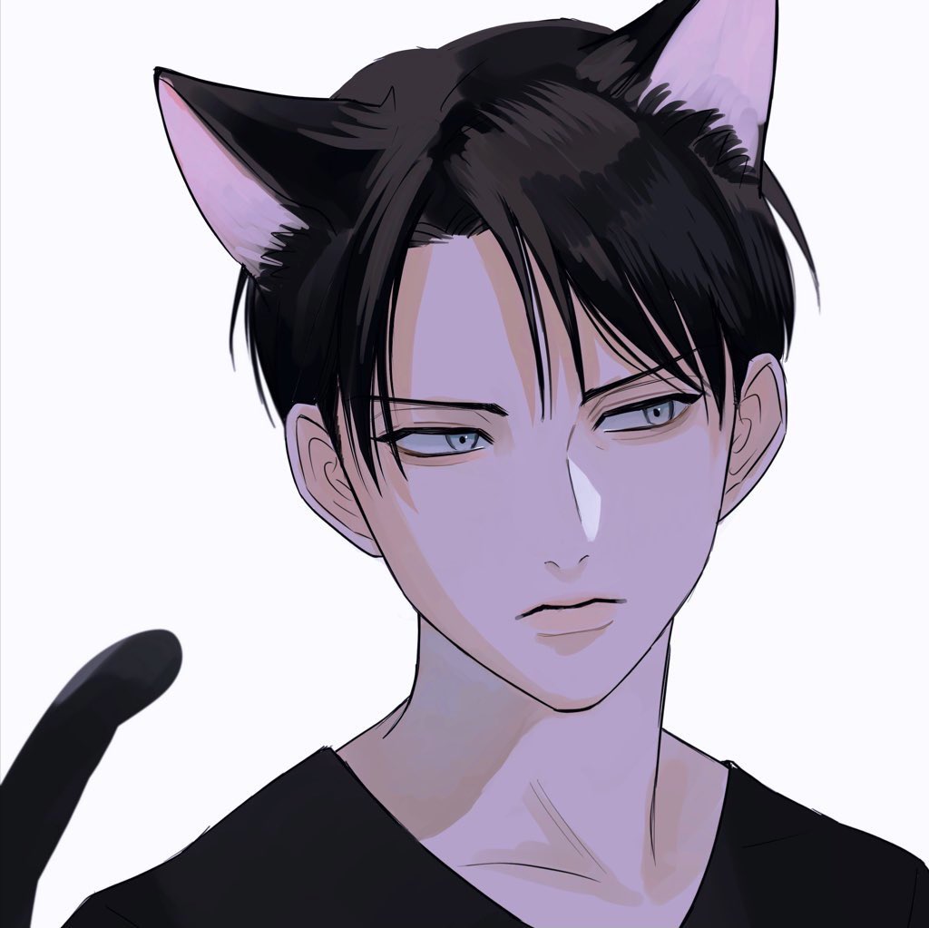 levi (shingeki no kyojin) 1boy animal ears male focus tail cat ears cat tail black hair  illustration images