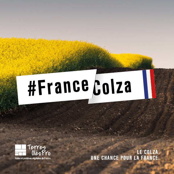 terresoleopro's tweet photo. Pour nos sols, le #colza n’attend pas ! 🌱
➡️ Une cycle long qui limite les risques d'érosion,
➡️ Un frein aux inondations grâce aux racines qui facilitent la circulation de l'eau dans les sols 💧
#FranceColza #SIA2022 https://t.co/NmpUBr2hui