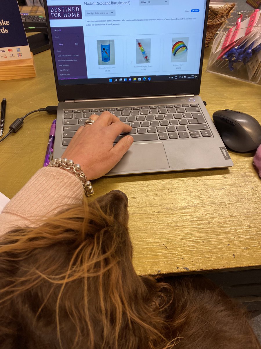 destined4home's tweet image. New products added to website help from Harley 🐶 not easy with hand being rest for Harley’s head 😂🤣 

Open Thursday-Monday 12-6pm
Sunday 12-4pm
Closed Tue &amp;amp; Wed 

Come discover Leith
@destined4home  #leith  #shopleith #giftshopedinburgh #constitutionstreet #discoverleith