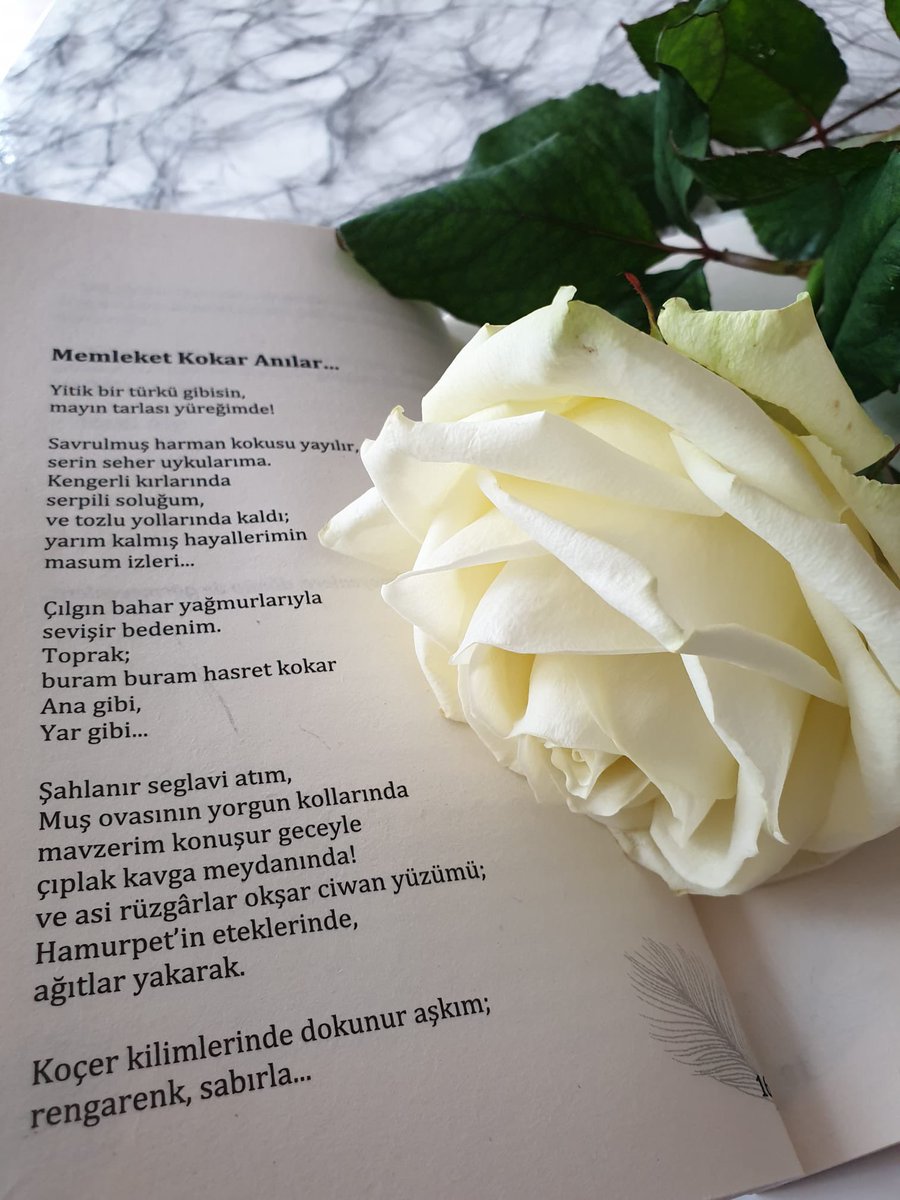 HalilAlp73's tweet photo. memleket kokar anılar… https://t.co/0Zi58ei4sz