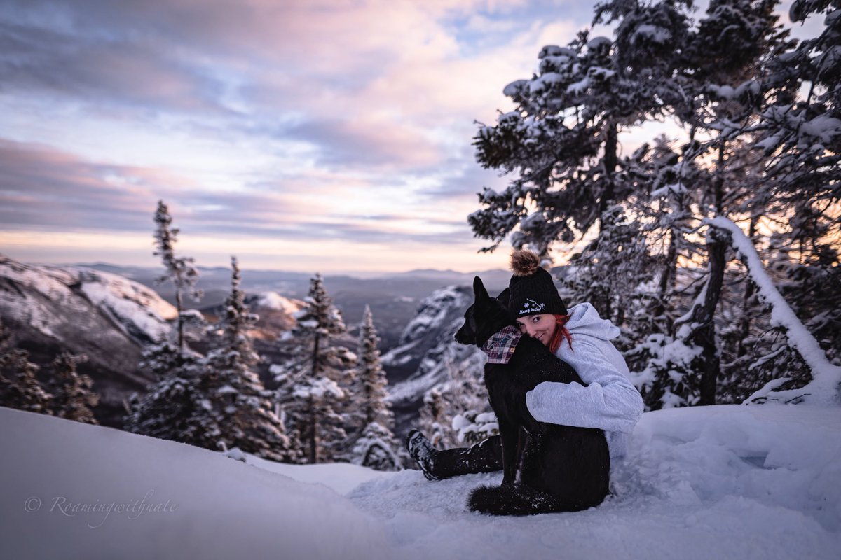 Laura & Nate tweet media