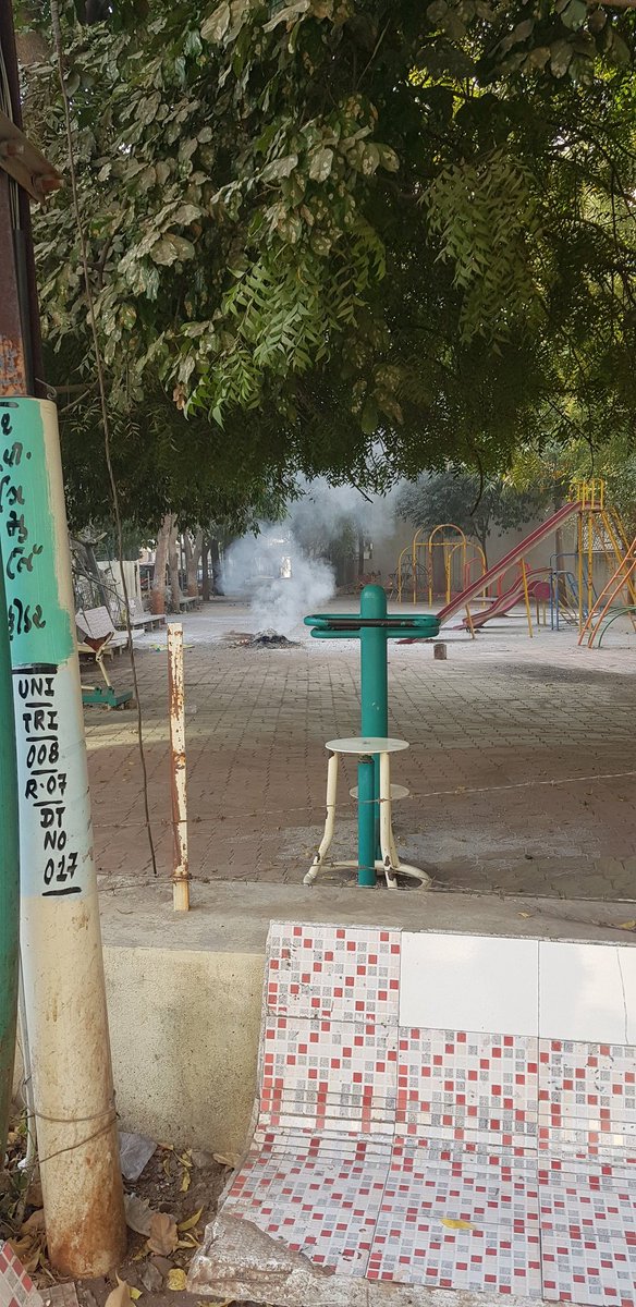 mudubha's tweet image. When we plant so many trees &amp;amp; end up creating more pollution in the process - burning of the fallen leaves in full swing ! #cleanrajkot #Pollution #swachhrajkot #CleanAir #Rajkot