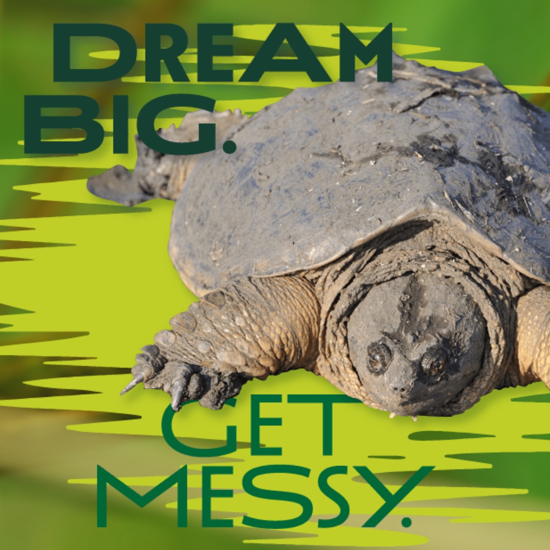 WetlandsTWI's tweet photo. Here at TWI, dreaming big and getting messy means restoring lost wetlands. Lucky for us, that also means making alligator snapping turtles and other creatures happy! Learn more about our work at https://t.co/tMXSG0INaj 💕 https://t.co/kYrEOTXZg3