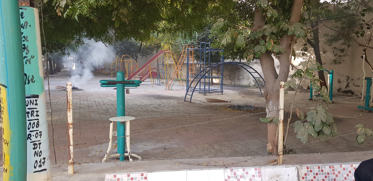 mudubha's tweet image. When we plant so many trees &amp;amp; end up creating more pollution in the process - burning of the fallen leaves in full swing ! #cleanrajkot #Pollution #swachhrajkot #CleanAir #Rajkot