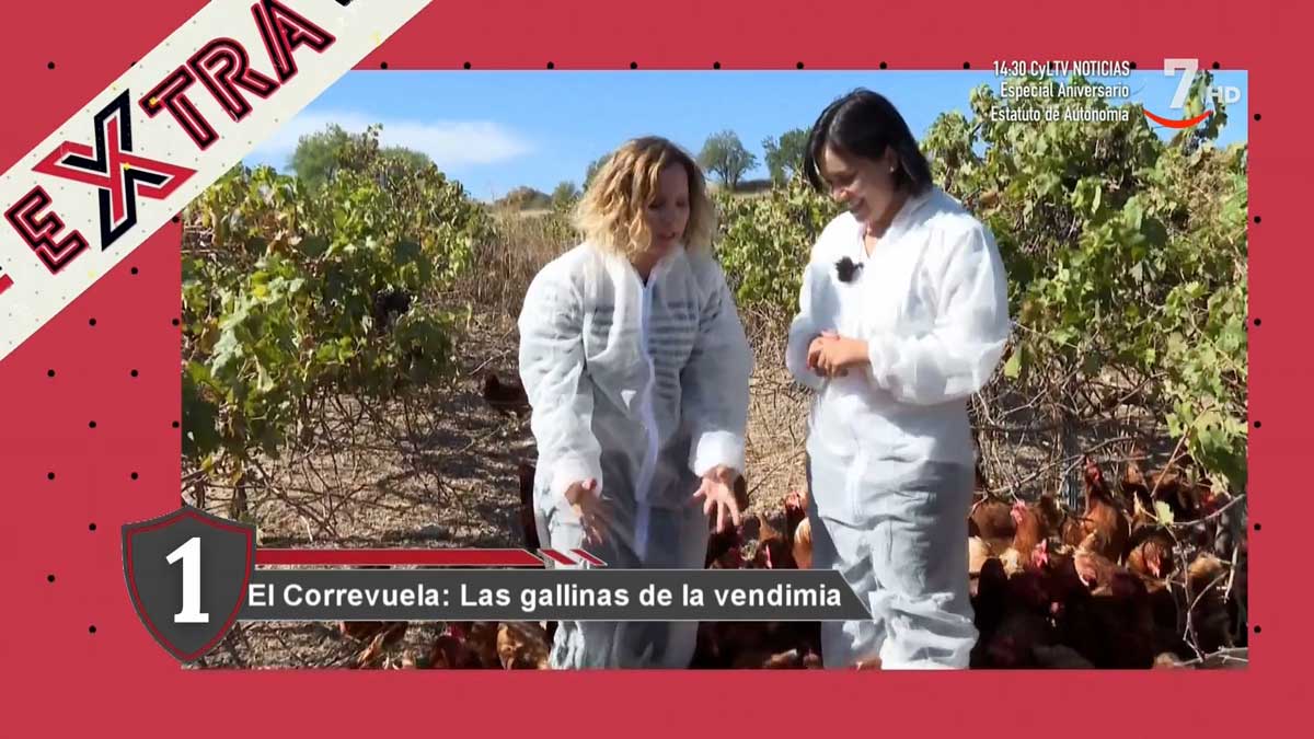 cyltv's tweet image. #ExtraCyL ▶️ Los mejores momentos de la semana en #DeLoBuenoLoMejor🏆 

🔗youtu.be/GJh8vTTuqV0
