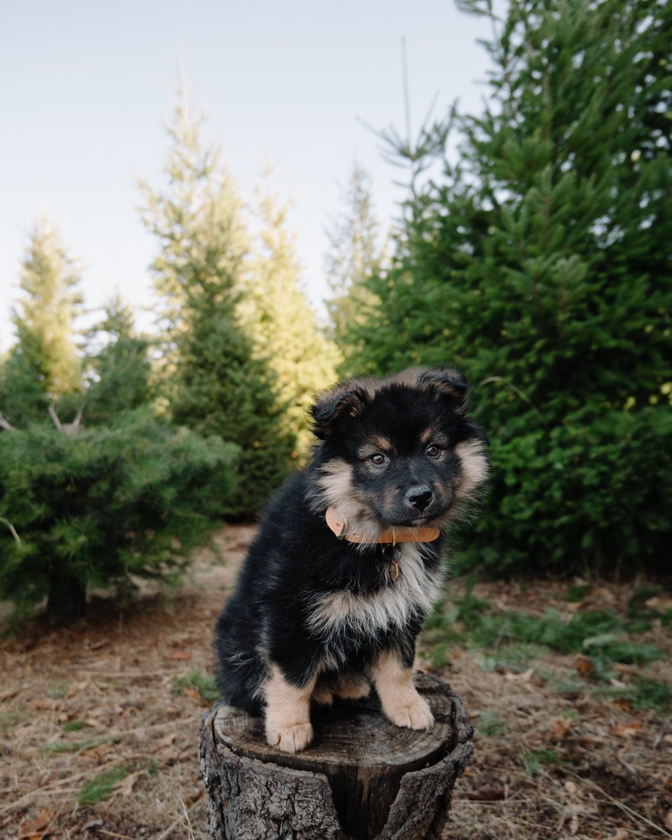 Sara + Ags + Rey tweet media