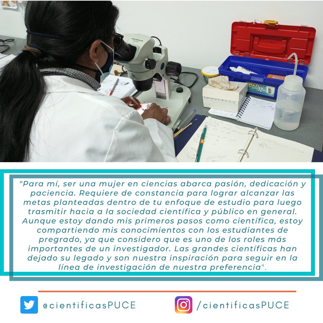 #Hoy: Anita Pilatasig, asistente curatorial de mastozoología del museo QCAZ, trabaja con la preservación, identificación, taxidermia, conservación de especímenes de la colección científica y manejo de las colonias de Dermestes
#11f2022ec #QuieroSerCientífica 👩🏻‍💻🔬🏛️🦇🦡🐀