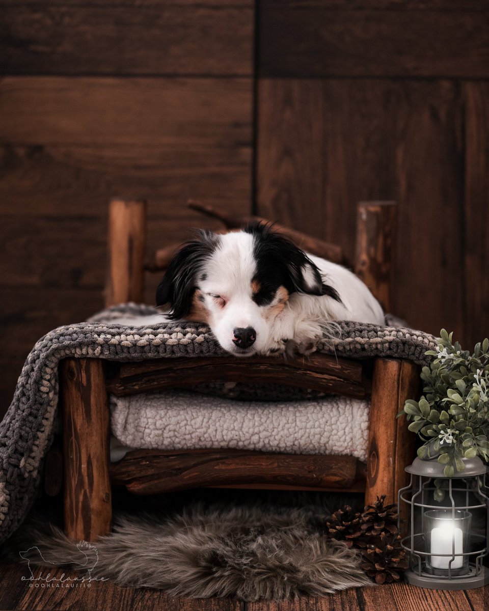 Jessie & Lala Kraan tweet media