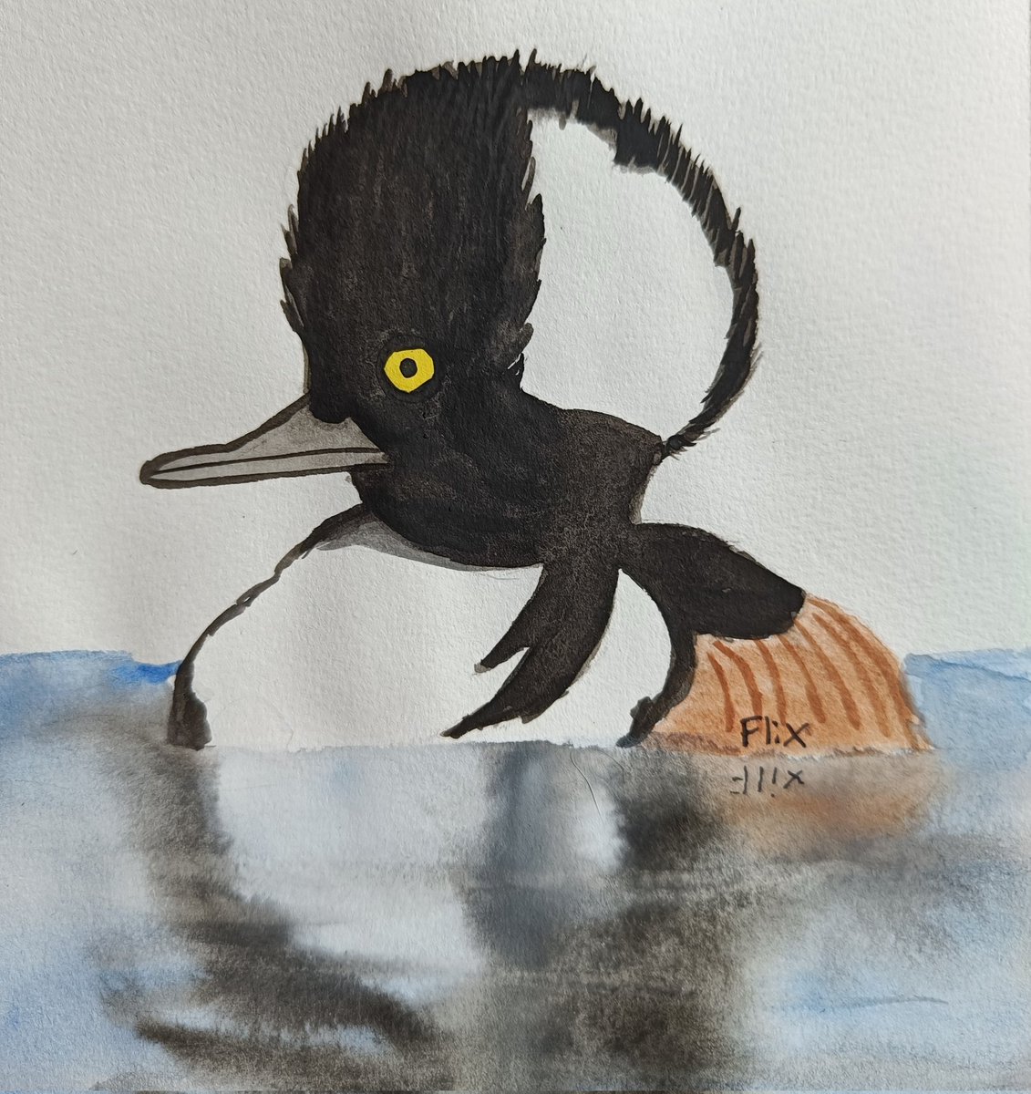 Birbfest 24: Hooded Merganser

instagram.com/p/CaYOTjtI_ZG/…
#birdwatching #nature #art #watercolor