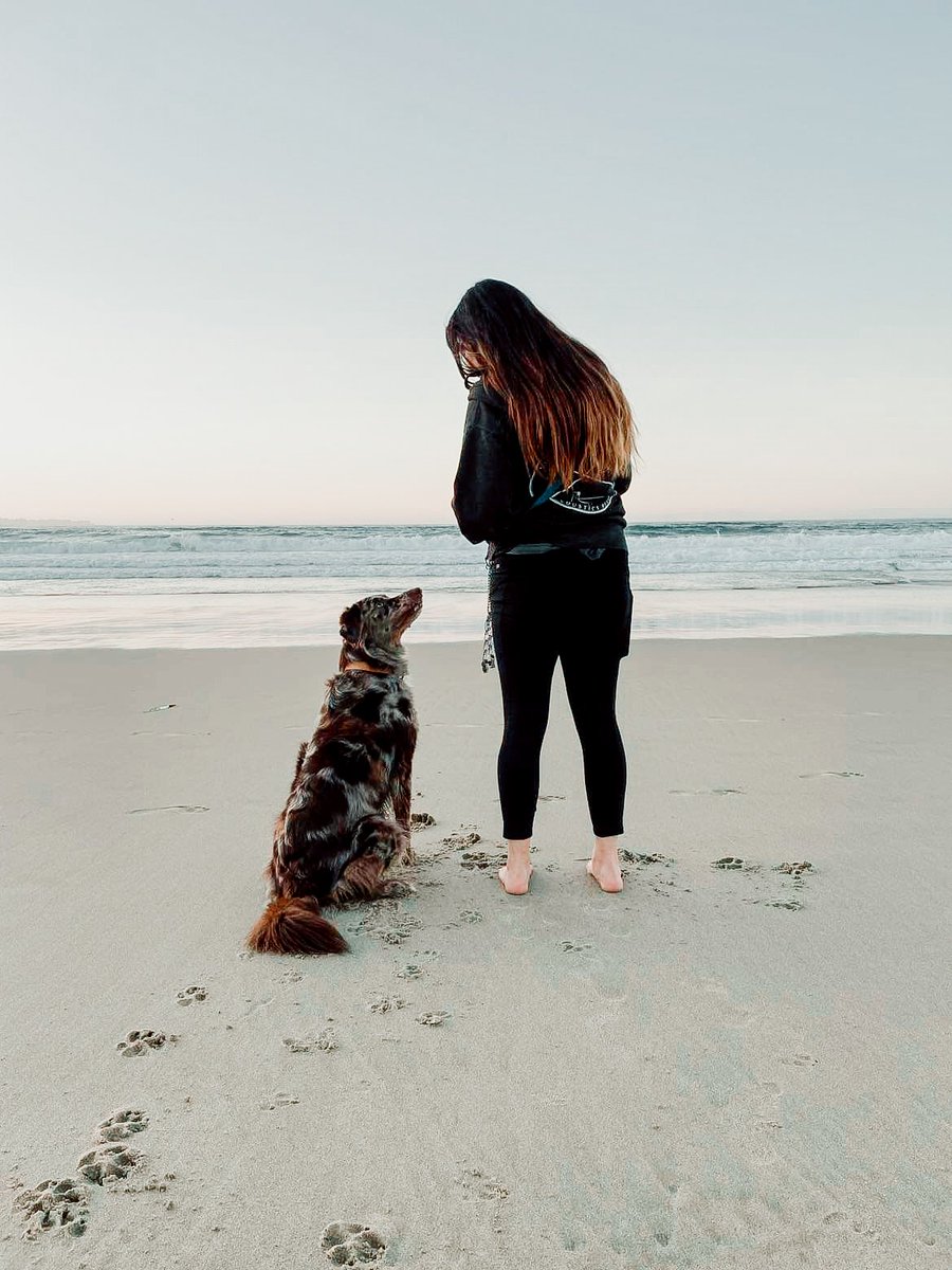 Really enjoying being able to use gifs and retweet to share my favs out there! 

#twitterdogcommunity #dogsoftwitter #dogs #dogtraining #beachlife