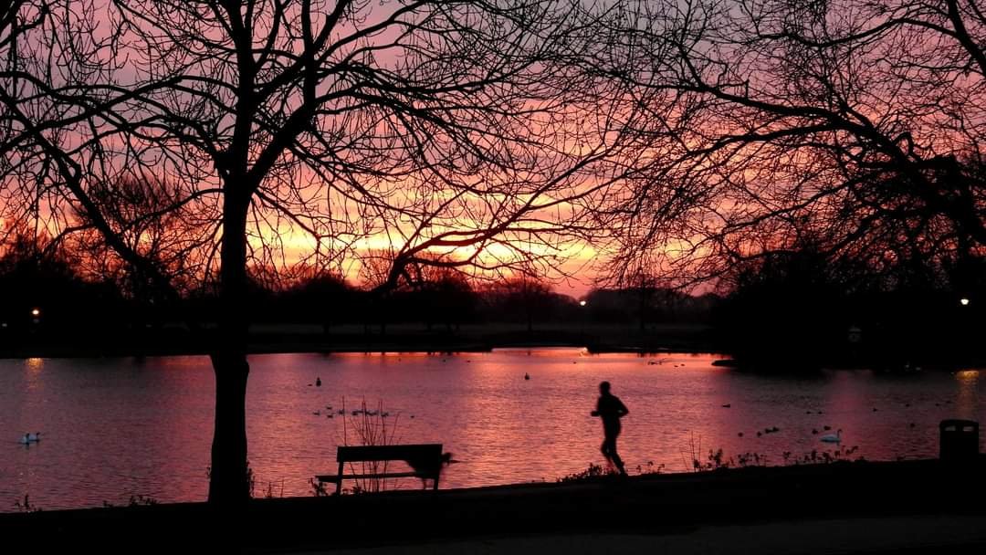 clive mitchell tweet media