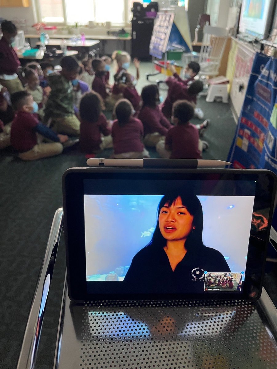 mspep26's tweet photo. It takes a village! Thanks to my special ed co-teacher for taking care of my babies while I was home sick and to our ITRT for helping to keep this virtual field trip going today! This would not have been possible without you!! @VAAquarium #kinder #virtualfieldtrip #CPES https://t.co/7PDeoolVr5