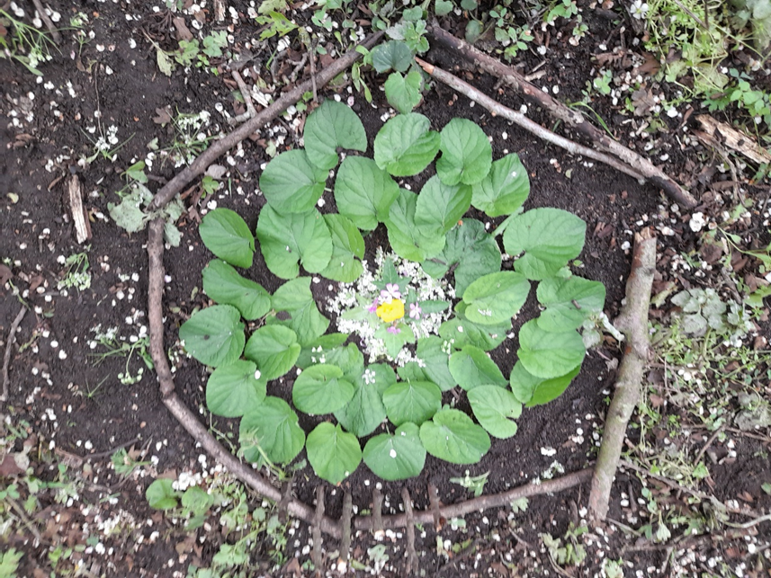 GeoWalshe's tweet photo. Arts organisations or practitioners exploring nature through arts-based activities with children, please take part in our survey! We aim to map existing activity across the UK and develop a national network of similar practitioners/organisations 🌼🐝🌳🎨https://t.co/K2djtkAaBn https://t.co/DpTiVdDjS2