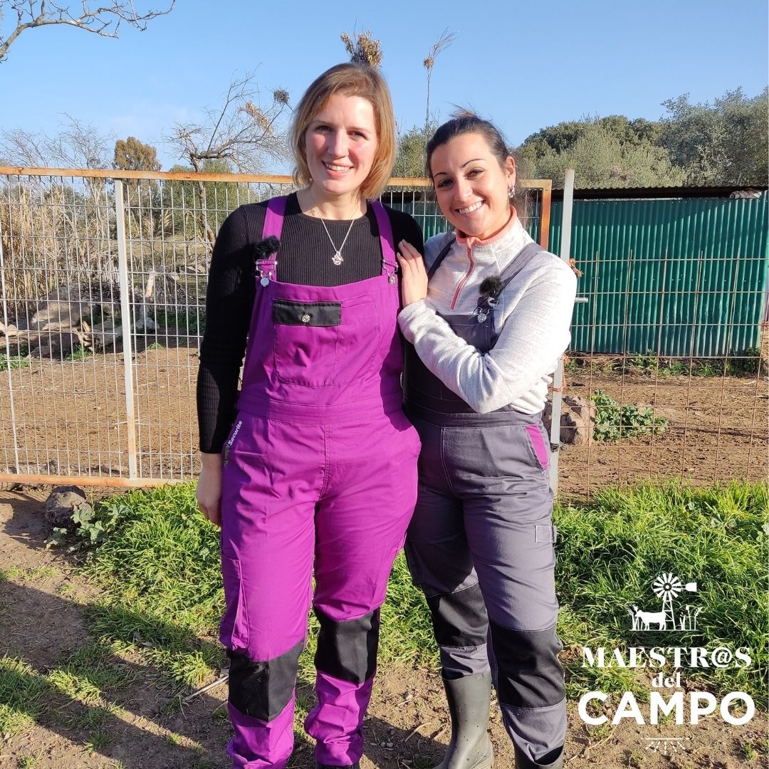 maestroscampo's tweet photo. Aquí tenéis contenido exclusivo #detrasdecamaras

Recuerda que puedes disfrutar de todo nuestro contenido en el siguiente enlace:
https://t.co/kPdSI0bVus

#campoextremeño #ganaderia #agricultura #maestrasdelcampo https://t.co/L7qviHotzz