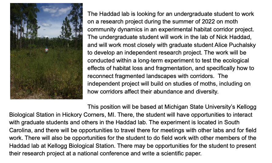 AlicePuchalsky's tweet photo. 🚨🚨🦋🦋🦋I am hiring an undergrad to do research on moths and habitat corridors as a REU this summer! Please RT and share with any undergrads you know https://t.co/HOjSyni0jN