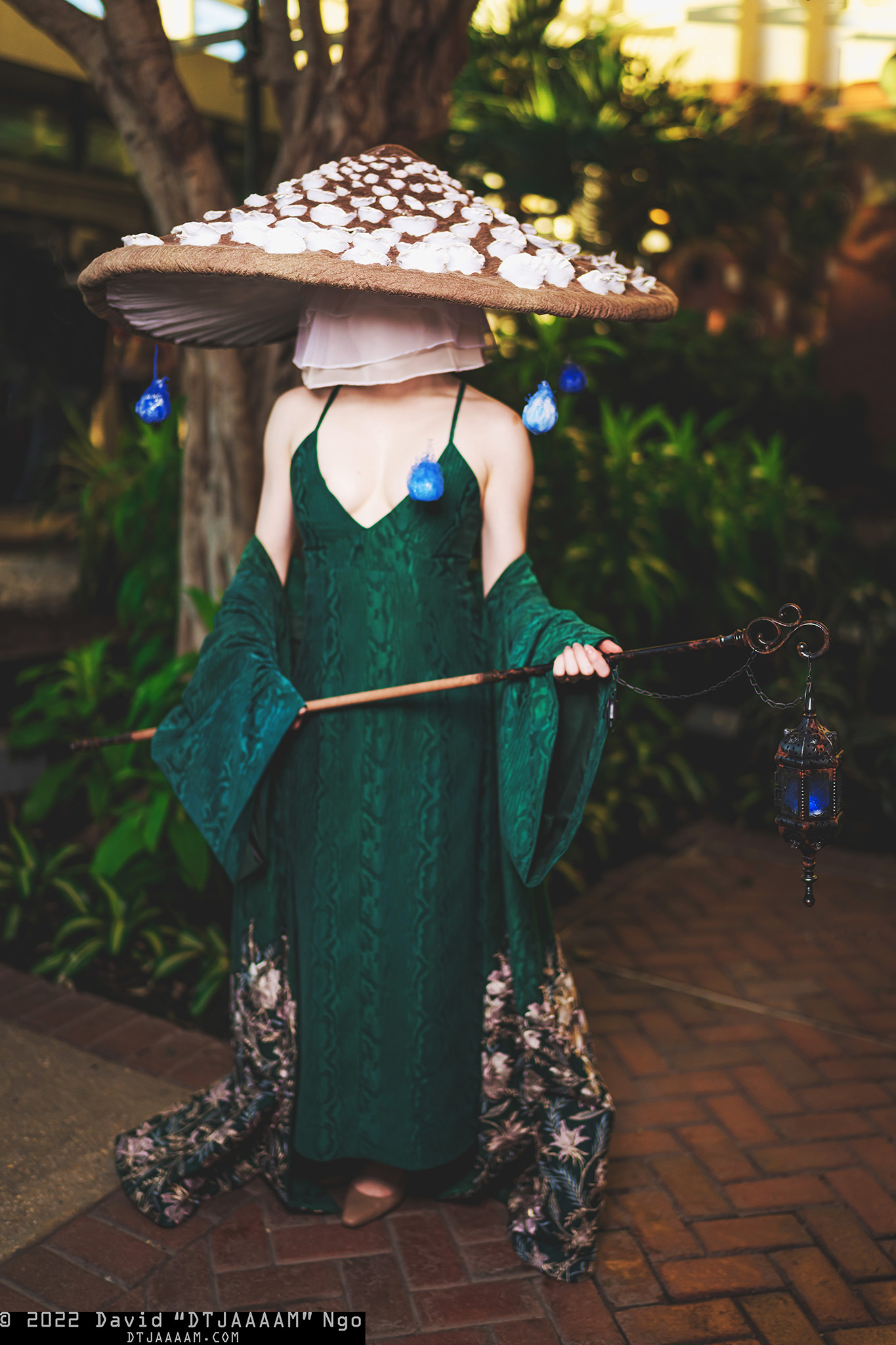 Mushroom costume 2024