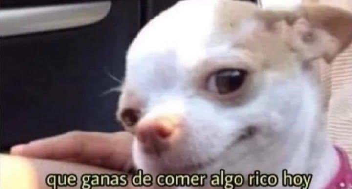 Guarromantico_'s tweet photo. *Logro ahorrar un poco*

Inmediatamente yo: https://t.co/NPseeSJXN0