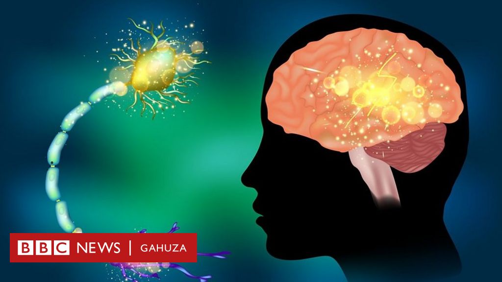 bbcgahuza's tweet photo. #Igicuri cyanga #intandara mu #kirundi #epilepsy ni #100BBC indwara ifitanye isano n'ubwonko kenshi ituma abayirwaye bitura hasi bakagagara. Iteye ubwoba, ikaba izwiho byinshi atari byo, ariko ifite umuti. Umva #Bazamuganga > https://t.co/SAkSRurpLx https://t.co/MENrp0CH0L