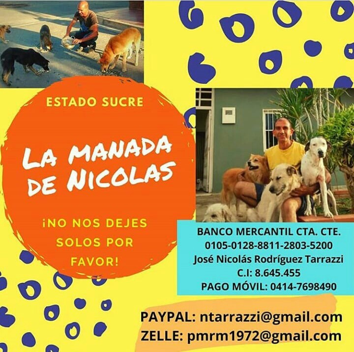 ntarrazzi's tweet photo. Será mucho pedir me donen por favor UN BOLIVAR (Si Bs. 1,00) y luego un retuit para que otros también puedan hacerlo y así seguir alimentando a mis protegidos? Por favor #UnBolivarParaLaManada que está en #Cumaná 
Pago móvil mercantil (0105) 04147698490 8645455. https://t.co/CCG5BM2pXD