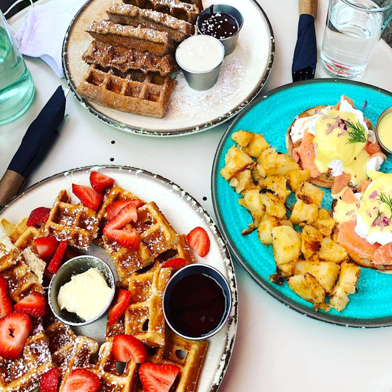 CTvisit's tweet photo. Love food that looks as good as it tastes? Snap an Insta shot at these picture-perfect #brunch spots in Connecticut. #StateImInCT #CTvisit📍: @caffe_social, Norwalk 📸: _souleats_ (IG)