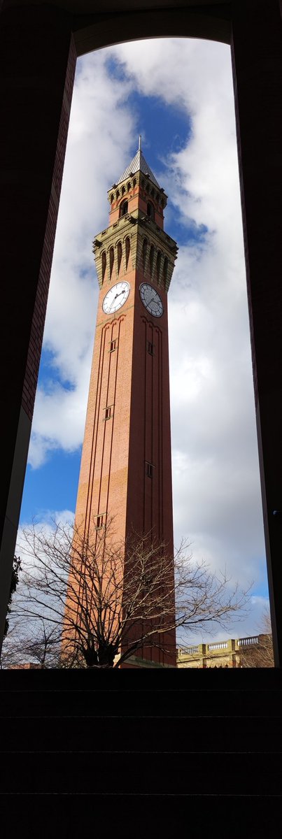mohammadwazne's tweet image. My last #SMI units and #digested samples were set up on a #sunny day under the watchful eye of @oldjoeclock at @unibirmingham !
#AcademicChatter
#microplastics
#phdlife