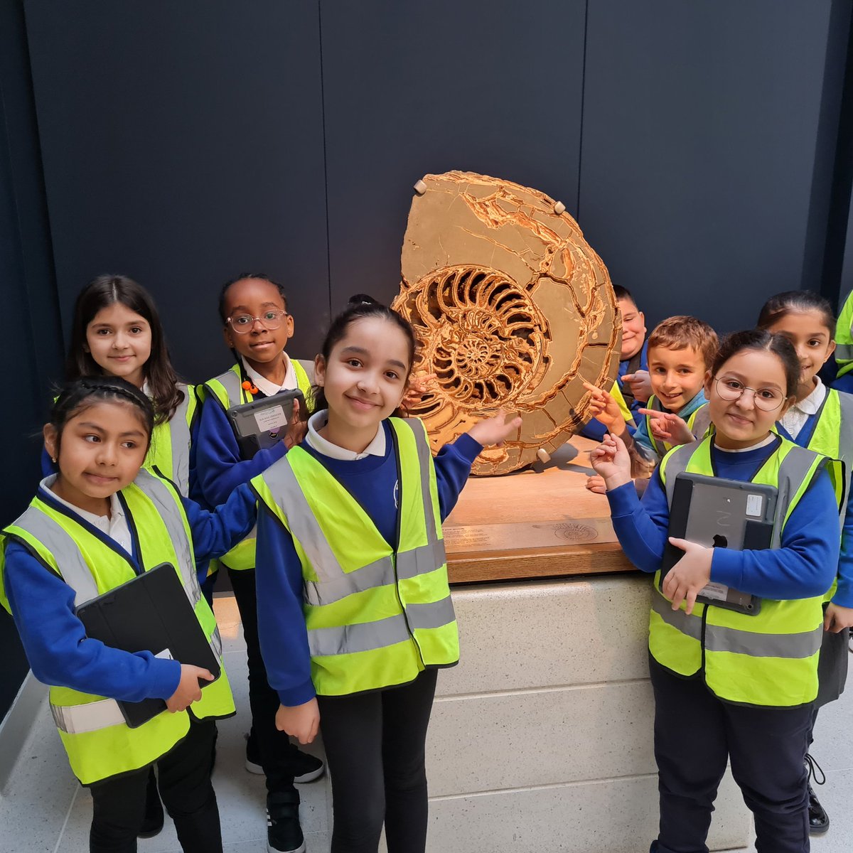 missgailno1's tweet photo. 3D loved discovering fossils @NHM_London, a lovely trip with excited #year3 @woodberrydownN4 @NewWaveFed a wonderful sunny day thank you for being amazing 👏 https://t.co/SEAs6ovKhw