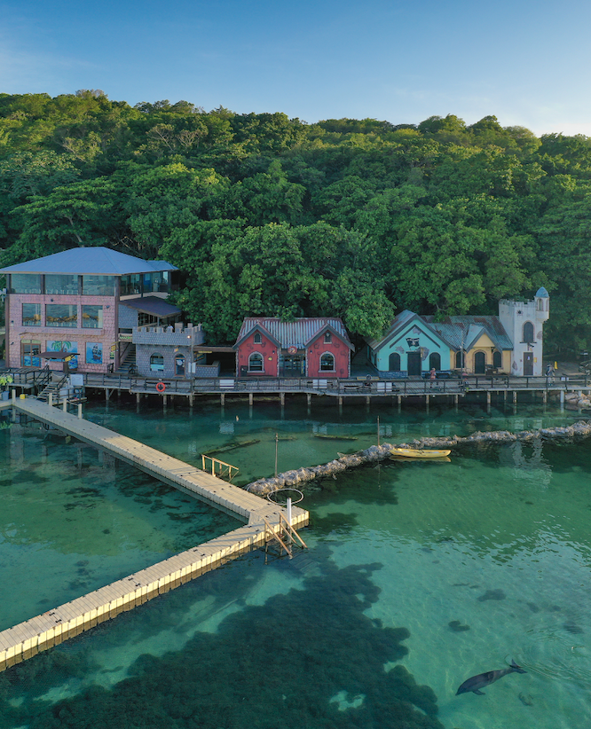 DolphinCoveJM's tweet photo. Who wouldn't love to enjoy this view? ✨
.
.
.
#DolphinCove #TheExperienceOfaLifetime #ShareHappiness #Travel #Adventure #Jamaica https://t.co/w7CMLgeqoV