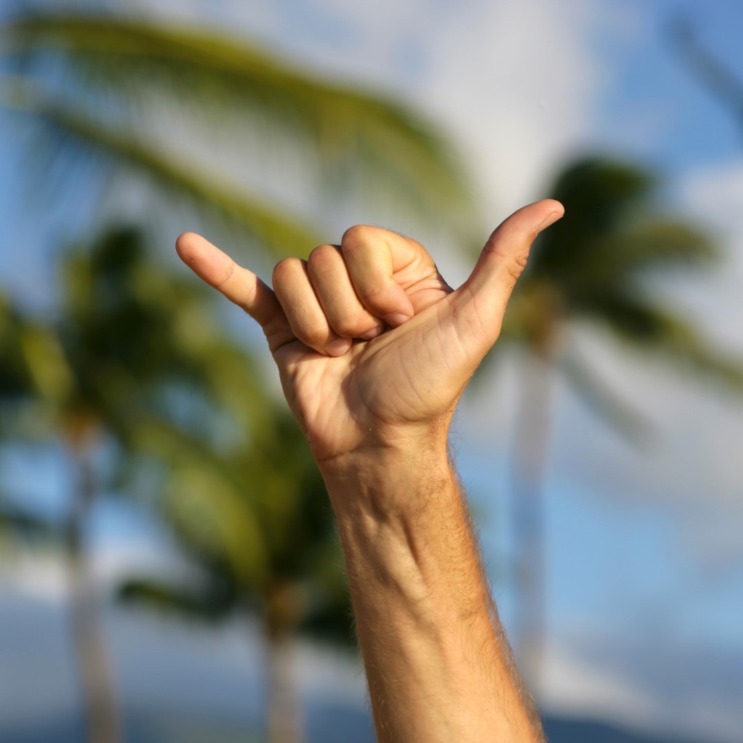 HFFA1463's tweet photo. This is your reminder to show some #Aloha today. #HFFA https://t.co/ghimHHXmpL